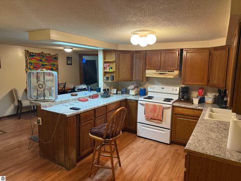 Tiny photo for 6329 N Lumberjack Road, Riverdale, MI 48877 (MLS # 1942730)