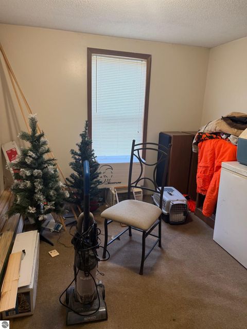 Tiny photo for 6329 N Lumberjack Road, Riverdale, MI 48877 (MLS # 1942730)