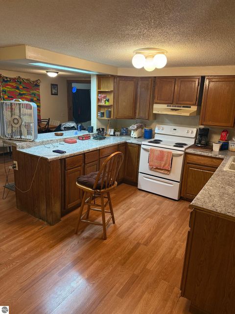 Tiny photo for 6329 N Lumberjack Road, Riverdale, MI 48877 (MLS # 1942730)