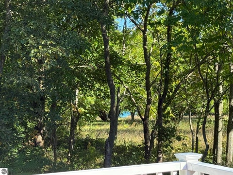 Tiny photo for 355 Meguzee Point, Elk Rapids, MI 49629 (MLS # 1950922)