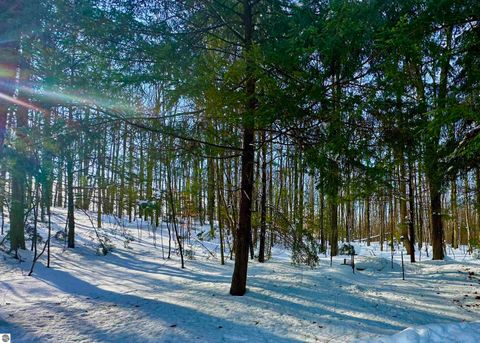 Tiny photo for 4141 Blackberry Lane, Elmira, MI 49730 (MLS # 1941718)