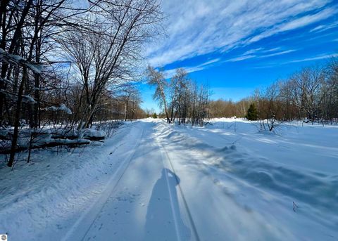 Tiny photo for 4141 Blackberry Lane, Elmira, MI 49730 (MLS # 1941718)