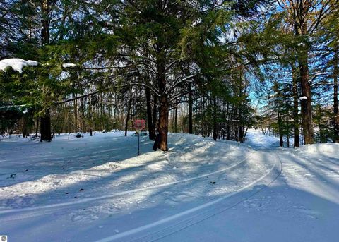 Tiny photo for 4141 Blackberry Lane, Elmira, MI 49730 (MLS # 1941718)