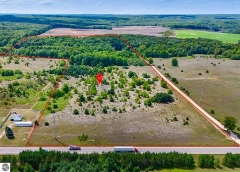 Tiny photo for 4141 Blackberry Lane, Elmira, MI 49730 (MLS # 1941718)