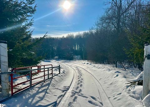 Tiny photo for 4141 Blackberry Lane, Elmira, MI 49730 (MLS # 1941718)