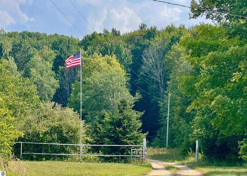 Tiny photo for 4141 Blackberry Lane, Elmira, MI 49730 (MLS # 1941718)