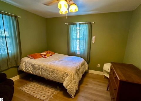 Tiny photo for 4141 Blackberry Lane, Elmira, MI 49730 (MLS # 1941718)