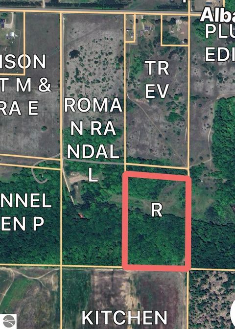 Tiny photo for 4141 Blackberry Lane, Elmira, MI 49730 (MLS # 1941718)