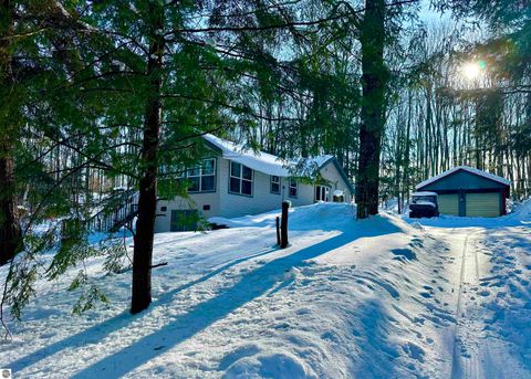 Photo of 4141 Blackberry Lane, Elmira, MI 49730 (MLS # 1941718)