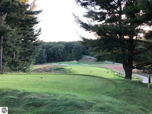 122 CRYSTAL DOWNS DR, FRANKFORT, MI 49635 - Image 554dd2dfb4d81dc23eec3d60ebf35fc2/1240766939