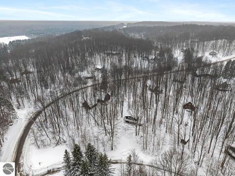 Tiny photo for 6688 Undervalden Drive, Bellaire, MI 49615 (MLS # 1941790)