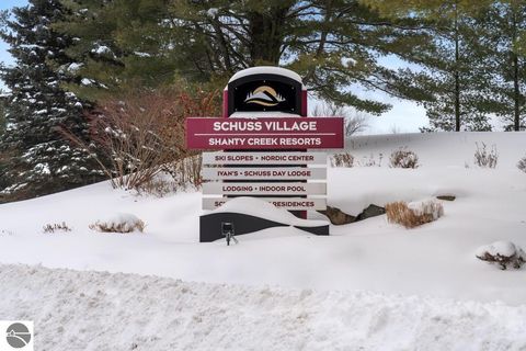 Tiny photo for 6688 Undervalden Drive, Bellaire, MI 49615 (MLS # 1941790)