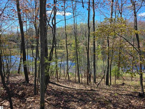 Tiny photo for 4890 Lakeview Drive, Hale, MI 48739 (MLS # 1945127)