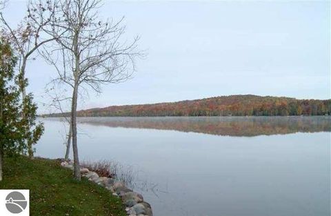 Tiny photo for 885 S M-88, Bellaire, MI 49615 (MLS # 1942223)