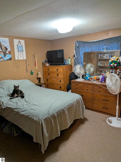 Tiny photo for 3033 S Coldwater Road, Mt Pleasant, MI 48858 (MLS # 1950577)