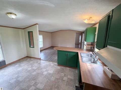 Tiny photo for 6542 N Geneva Road, Coleman, MI 48618 (MLS # 1944010)