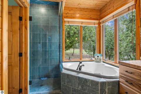 Tiny photo for 269 N East Torch Lake Drive, Central Lake, MI 49622 (MLS # 1944916)
