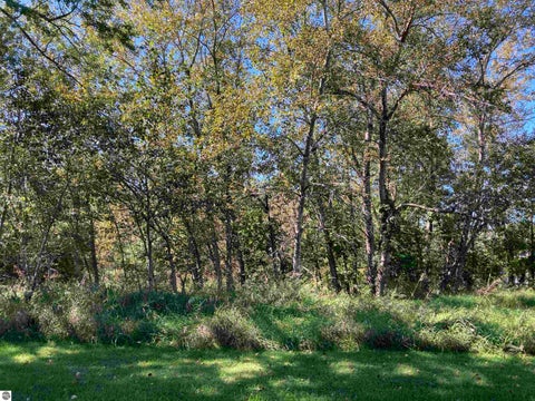 Tiny photo for 111 Minzer Court, West Branch, MI 48661 (MLS # 1950542)