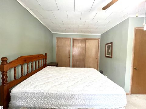 Tiny photo for 7891 S Lucas Road, McBain, MI 49657 (MLS # 1941419)