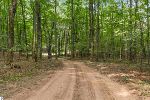 Tiny photo for 19707 Nine Mile Road, Copemish, MI 49625 (MLS # 1949346)