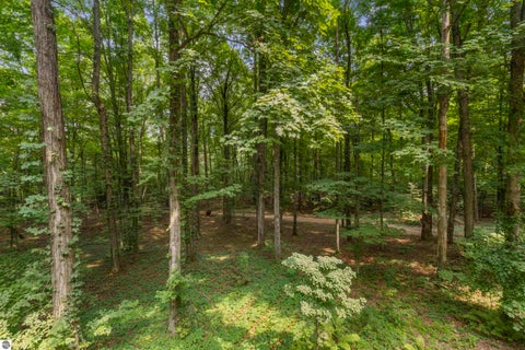 Tiny photo for 19707 Nine Mile Road, Copemish, MI 49625 (MLS # 1949346)