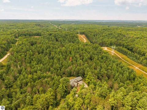 Tiny photo for 8787 Wheeler Pines Drive, Williamsburg, MI 49690 (MLS # 1949719)