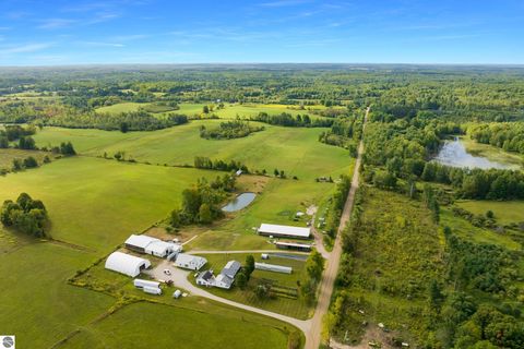 Tiny photo for 14654 190th Avenue, Leroy, MI 49655 (MLS # 1942970)