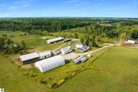 Tiny photo for 14654 190th Avenue, Leroy, MI 49655 (MLS # 1942970)