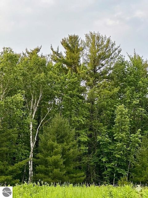 Tiny photo for 562 Lagrant Road, Twining, MI 48766 (MLS # 1943398)