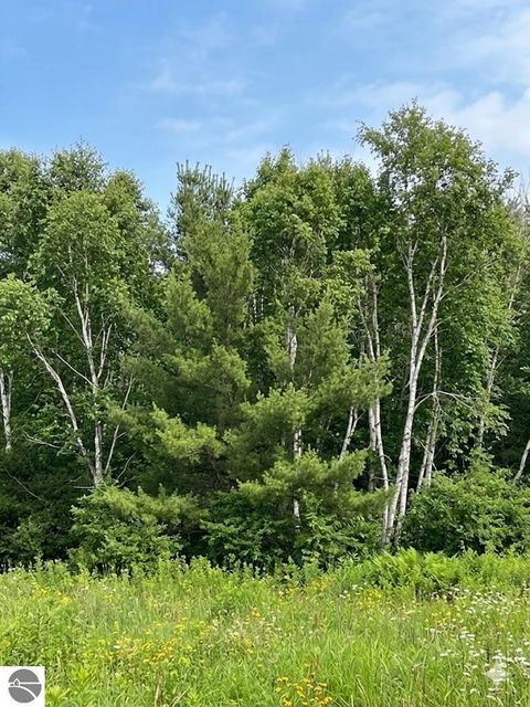 Tiny photo for 562 Lagrant Road, Twining, MI 48766 (MLS # 1943398)