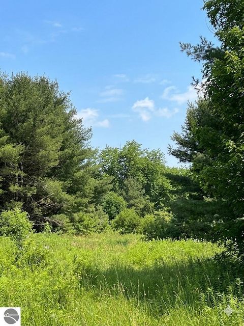 Tiny photo for 562 Lagrant Road, Twining, MI 48766 (MLS # 1943398)