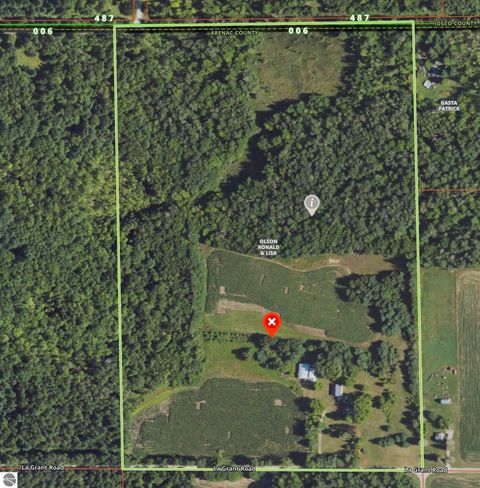 Tiny photo for 562 Lagrant Road, Twining, MI 48766 (MLS # 1943398)
