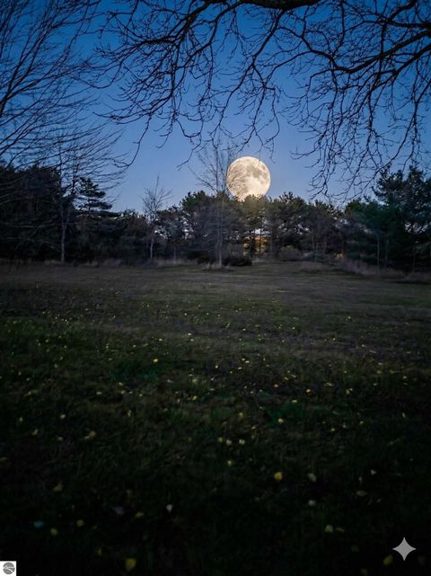 Tiny photo for 562 Lagrant Road, Twining, MI 48766 (MLS # 1943398)