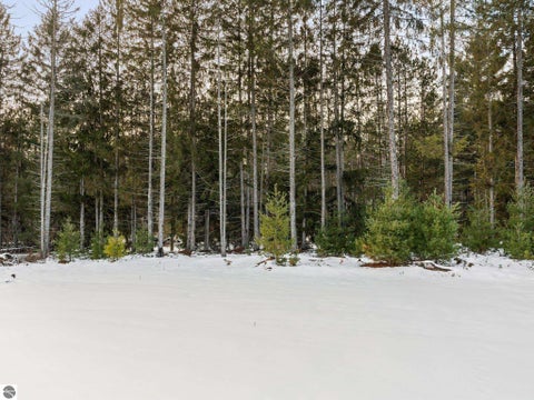 Tiny photo for 5086 Red Maple Drive, Kalkaska, MI 49646 (MLS # 1946192)