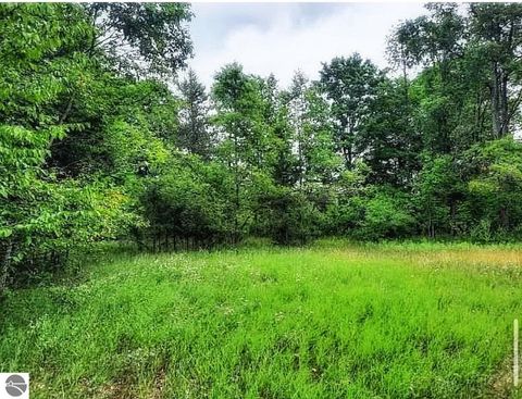 Tiny photo for 10836 30th Avenue, Evart, MI 49631 (MLS # 1942997)