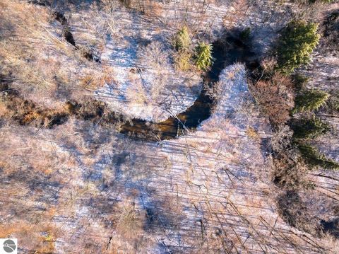 Tiny photo for 10836 30th Avenue, Evart, MI 49631 (MLS # 1942997)