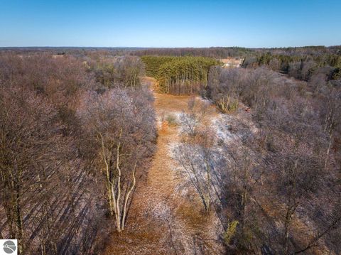 Tiny photo for 10836 30th Avenue, Evart, MI 49631 (MLS # 1942997)