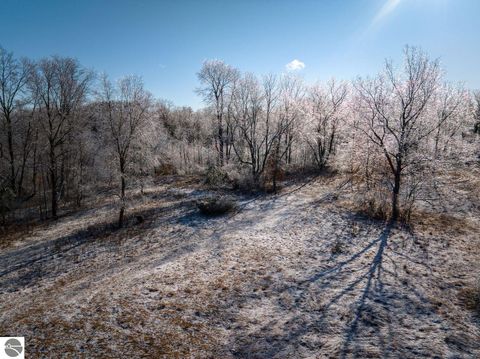 Tiny photo for 10836 30th Avenue, Evart, MI 49631 (MLS # 1942997)