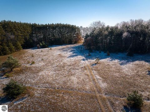 Tiny photo for 10836 30th Avenue, Evart, MI 49631 (MLS # 1942997)