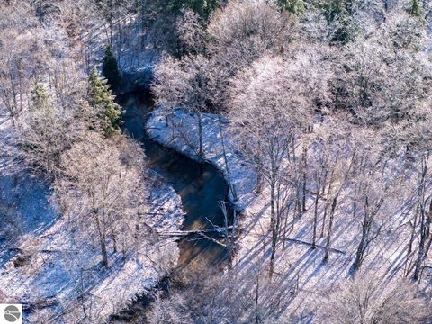 Tiny photo for 10836 30th Avenue, Evart, MI 49631 (MLS # 1942997)