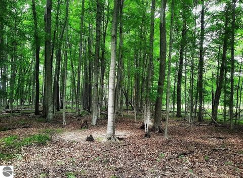 Tiny photo for 10836 30th Avenue, Evart, MI 49631 (MLS # 1942997)