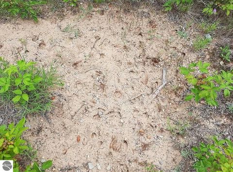 Tiny photo for 10836 30th Avenue, Evart, MI 49631 (MLS # 1942997)