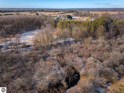 Tiny photo for 10836 30th Avenue, Evart, MI 49631 (MLS # 1942997)