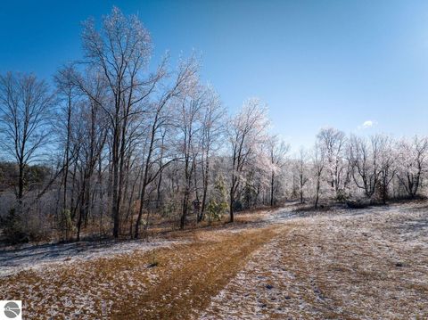 Tiny photo for 10836 30th Avenue, Evart, MI 49631 (MLS # 1942997)