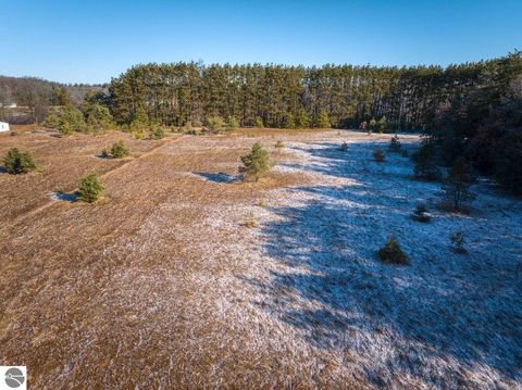 Tiny photo for 10836 30th Avenue, Evart, MI 49631 (MLS # 1942997)