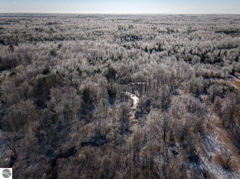 Tiny photo for 10836 30th Avenue, Evart, MI 49631 (MLS # 1942997)