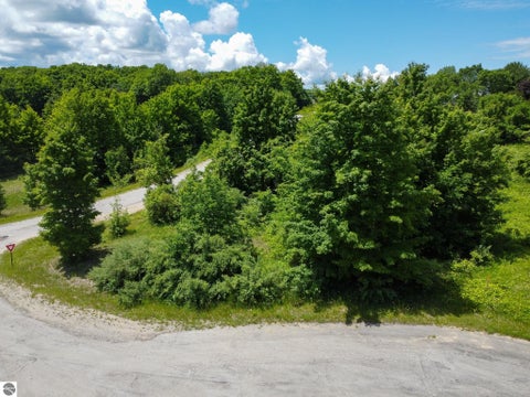 Tiny photo for S Cherry Blossom Lane, Suttons Bay, MI 49682 (MLS # 1947000)