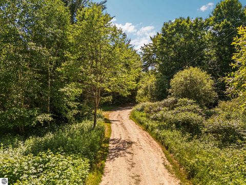 Tiny photo for 3551 Donna Lane, Cadillac, MI 49601 (MLS # 1947825)