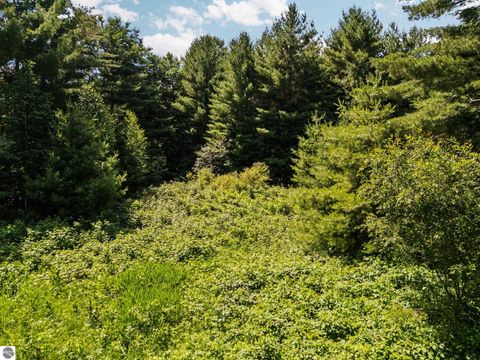 Tiny photo for 3551 Donna Lane, Cadillac, MI 49601 (MLS # 1947825)