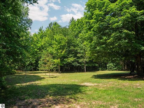 Tiny photo for 3551 Donna Lane, Cadillac, MI 49601 (MLS # 1947825)